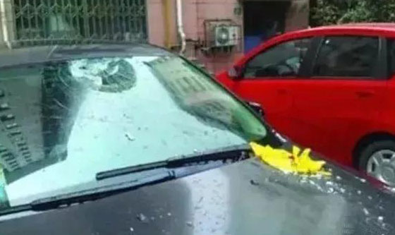 常德市康都物業(yè)服務(wù)有限公司,常德保安服務(wù)公司,保潔服務(wù),綠化服務(wù),搬運(yùn)服務(wù),墻外高空清洗服務(wù) 常德市康都物業(yè)服務(wù)有限公司,常德保安服務(wù)公司,保潔服務(wù),綠化服務(wù),搬運(yùn)服務(wù),墻外高空清洗服務(wù)