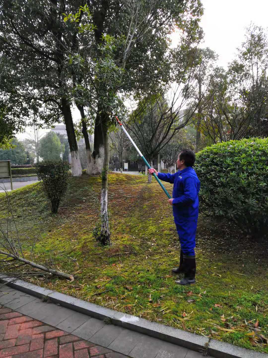 常德市康都物業(yè)服務(wù)有限公司,常德保安服務(wù)公司,保潔服務(wù),綠化服務(wù),搬運(yùn)服務(wù),墻外高空清洗服務(wù)