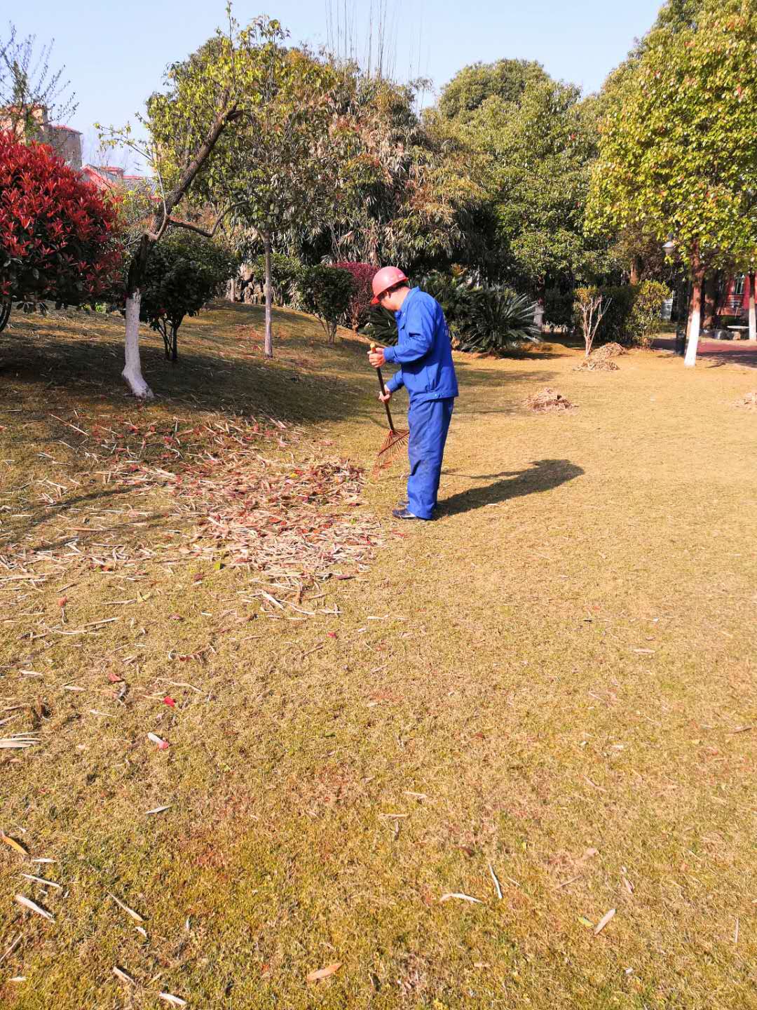 常德市康都物業(yè)服務(wù)有限公司,常德保安服務(wù)公司,保潔服務(wù),綠化服務(wù),搬運(yùn)服務(wù),墻外高空清洗服務(wù)