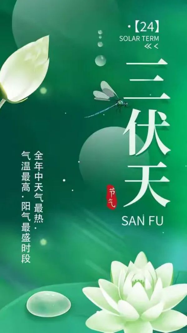 常德市康都物業(yè)服務(wù)有限公司,常德保安服務(wù)公司,保潔服務(wù),墻外高空清洗服務(wù)