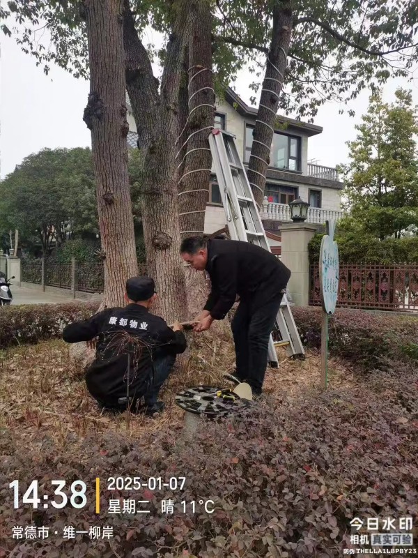 常德市康都物業(yè)服務有限公司,常德保安服務公司,保潔服務,墻外高空清洗服務